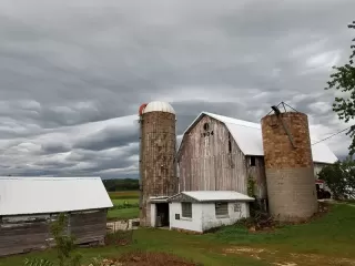 White-roof-1