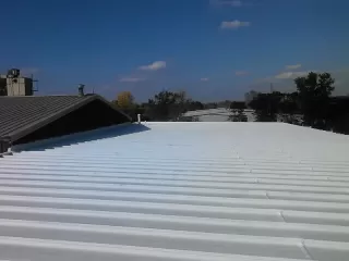 White-roof-2